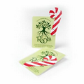 Mini Candy Cane Style Shape Seed Paper Gift Pack